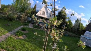 Защита плодовых деревьев от гусениц плодожорок и других вредителей