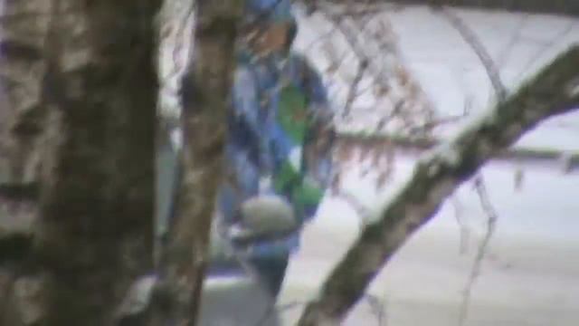 В моей душе покоя нет смотреть онлайн