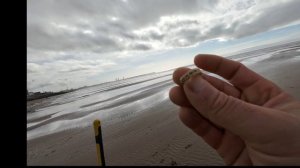 Metal Detecting In South Wales. Mike Miles aka Dance With Badgers  strike Gold.