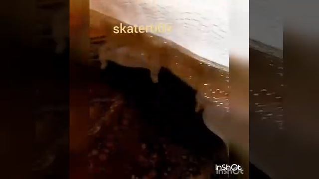 Скатерть из экокожи смотреть онлайн