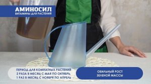 Инструкция к применению витаминного концентрата АМИНОСИЛ для декоративно-лиственных растений