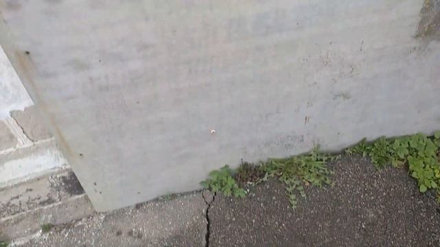 Мой аккумуляторный опрыскиватель. Хорош. Нужен. Обязателен!!!