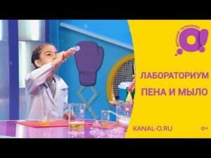 Лабораториум. Маленькие исследователи. Выпуск 2 Пена-мыло