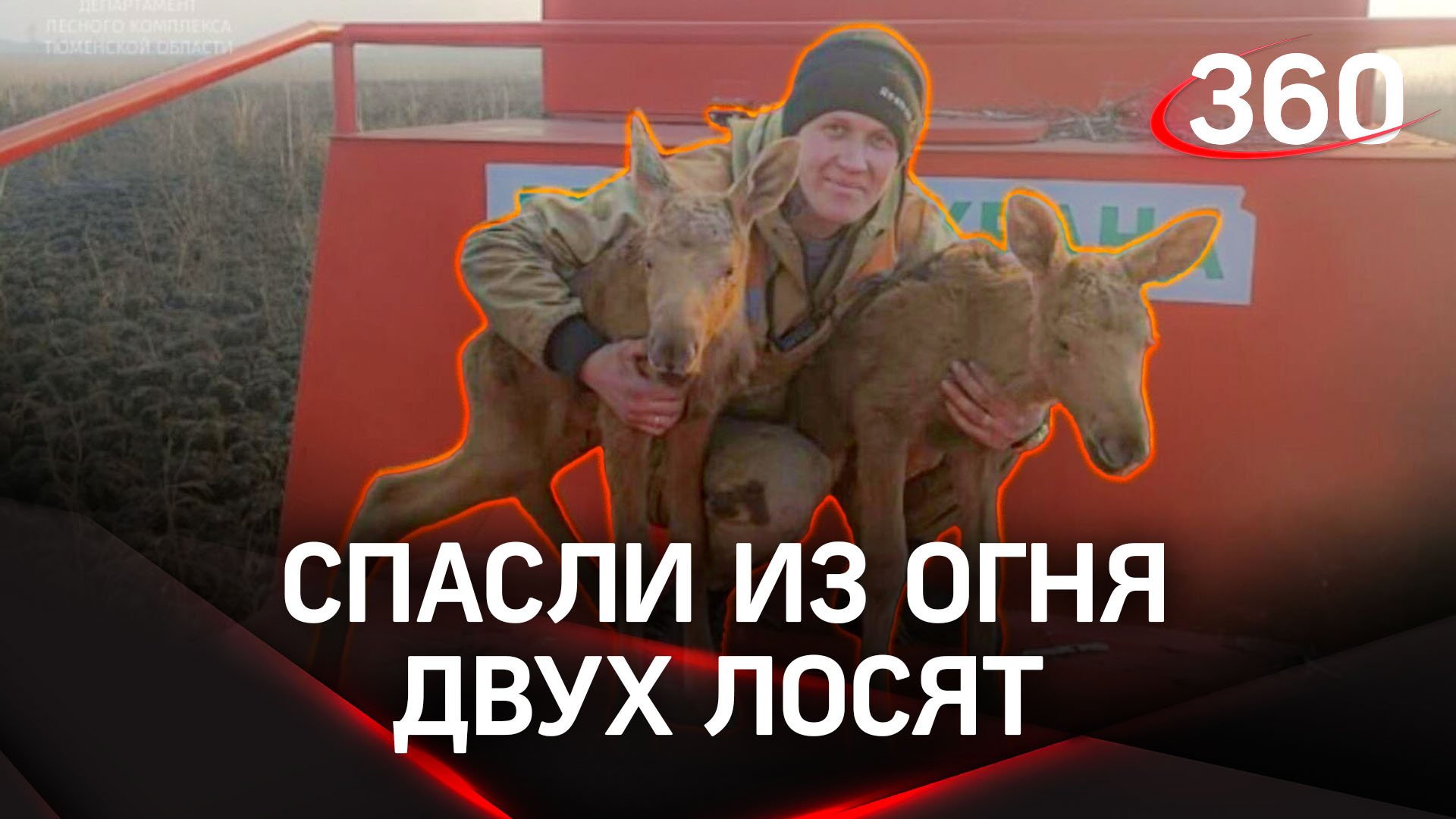 Десантники спасают лосят от пожара в Тюменской области