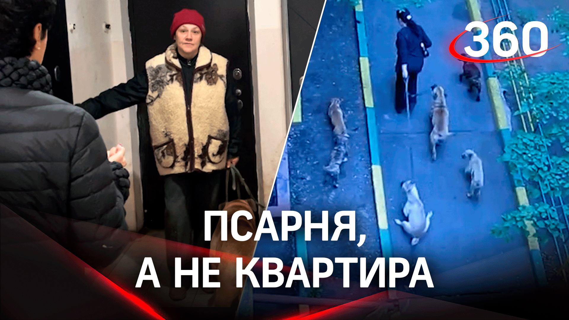 Собачник в центре Москвы мешает соседям