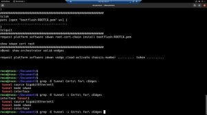 Linux Scripting - RegEx and grep Utility (Spanish)