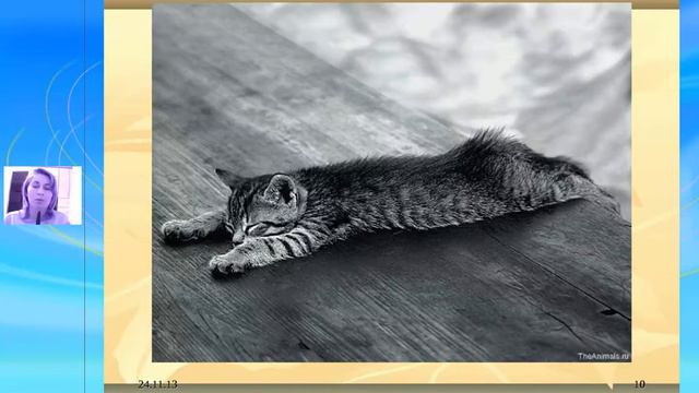 Как же на самом деле работает Закон Притяжения. Часть 1. смотреть онлайн