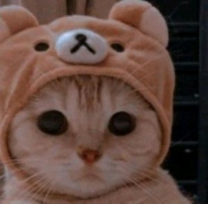 видео где я говорю про сходку