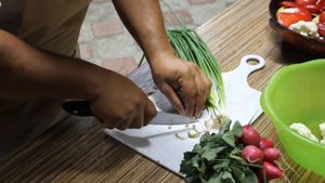 Ваик готовит курицу в тандыре. Дебют.