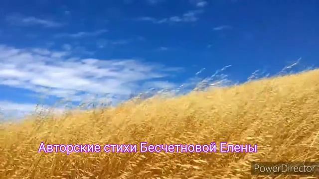 Авторские стихи Бесчетновой Елены " Ты знаешь, я молчу, не осуждаю..." смотреть онлайн