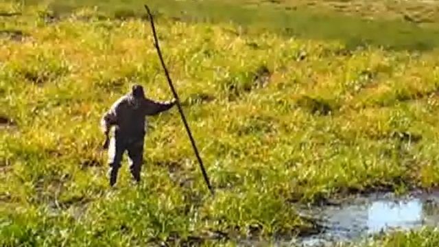 ОХОТА ПУЩЕ НЕВОЛИ