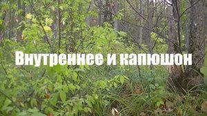 Парка бундесвер флектарн / Обзор