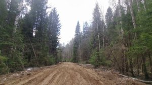 Неудачная попытка добраться до Никольского озера