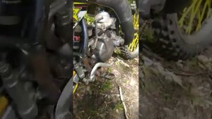 Suzuki rm 85L 2016