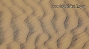 Путешествие в дикую Монголию (ч.2/3)