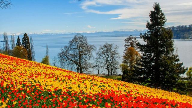 10 Причин, По Которым Мы Теряем Друзей Во Время Духовного Пробуждения. смотреть онлайн