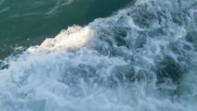 Камчатка. Морская прогулка на яхте. Крабы. Морская рыбалка. Нерпы и сивучи. Птичьи колонии.
