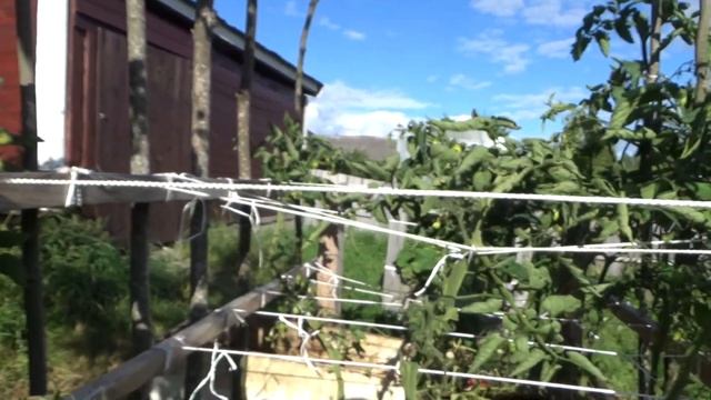 Самый бюджетный мини -парник теплица до 1000 рублей из поликарбоната- своими руками ,для огурцов. смотреть онлайн