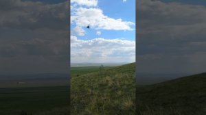 НАПОЙТЕ МНЕ ВЕТРЫ...