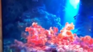 Телевизор LG 32LP500B6LA