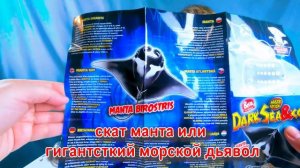 Дети играют с МОРСКИМИ ЖИВОТНЫМИ // РАСПАКОВКА для детей // Игрушки ДЕ АГОСТИНИ бестии