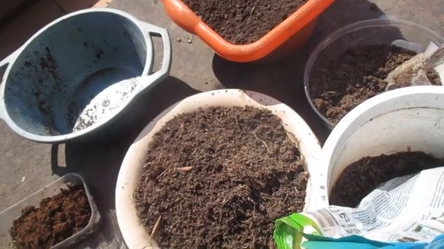 Цветы #женскоесчастье #пересадка #спатифиллум #смесьгрунтов