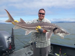 140.Китайский осётр.mp4