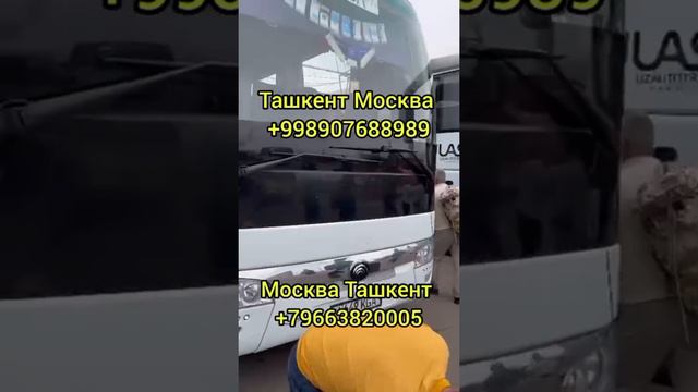 Узбекистон Москва автобус такси #ТашкентРоссияавтобус #ТошкентМоскватакси #ТашкентПитертакси смотреть онлайн