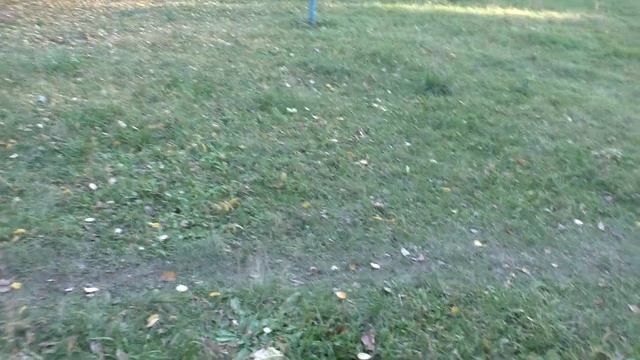 Свобода как высшая ценность смотреть онлайн