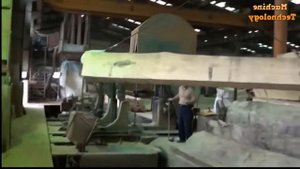 РАСПИЛ ОГРОМНЫХ ДЕРЕВЬЕВ ЦИРКУЛЯРКИ КИТАЯ