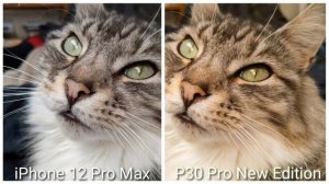 iPhone 12 Pro Max VS Huawei P30 Pro New Edition Camera Test