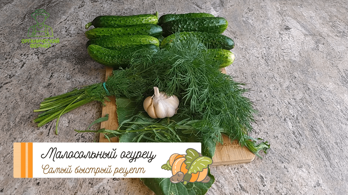 Малосольный огурец. Секрет приготовления от грузинского дедушки!