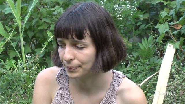 Как получить семена свеклы смотреть онлайн