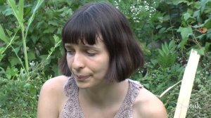 Как получить семена свеклы