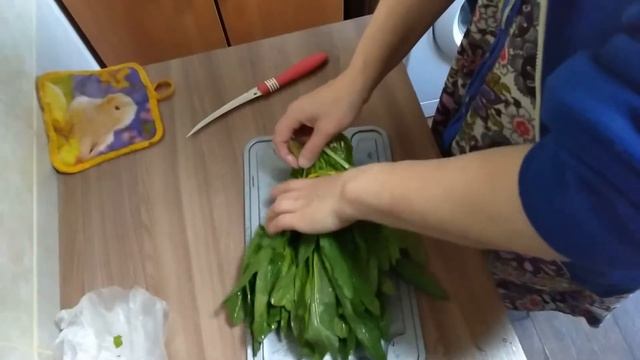 Приготовление зеленого борща Зеленый борщ легкий рецепт