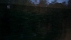 Перегон Академическая – Бушевец Окт. ж. д. в самую короткую ночь