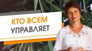 Кто всем управляет. Где находится пульт управления Елена Ачкасова