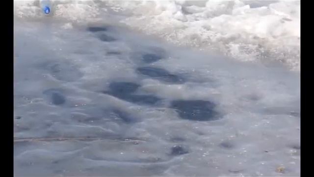 Pavodok смотреть онлайн