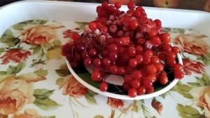 Здоровый образ жизни - залог нашего здоровья. Кто с калиной дружит - тому врач не нужен.