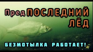 Ловля на мормышку по последнему льду