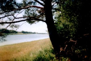 1995 Лето в Енангске.avi