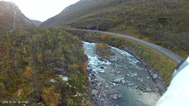 Roadtrip смотреть онлайн