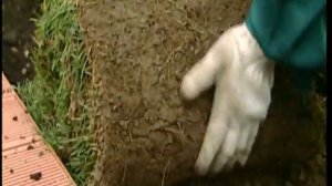 "Беседка с террасой для дикого сада": Террадек в программе "Фазенда"