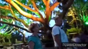 Парк Олень повернул голову (LUHUITOU Park Sanya)