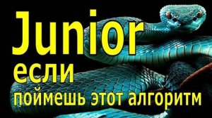 Для начинающих python программистов кто проходит курсы и уроки python