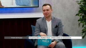 Бешенство у животных: симптомы и признаки