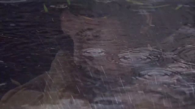 Клип на авторскую песню Безответная любовь смотреть онлайн