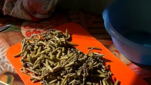 Готовим папоротник с мясом