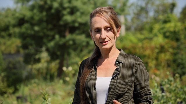 Какой сорт голубики выбрать, чтобы собирать урожай весь сезон? | Как собрать богатый урожай