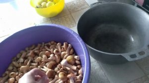 Маринованные опята на зиму / Быстрый способ ?